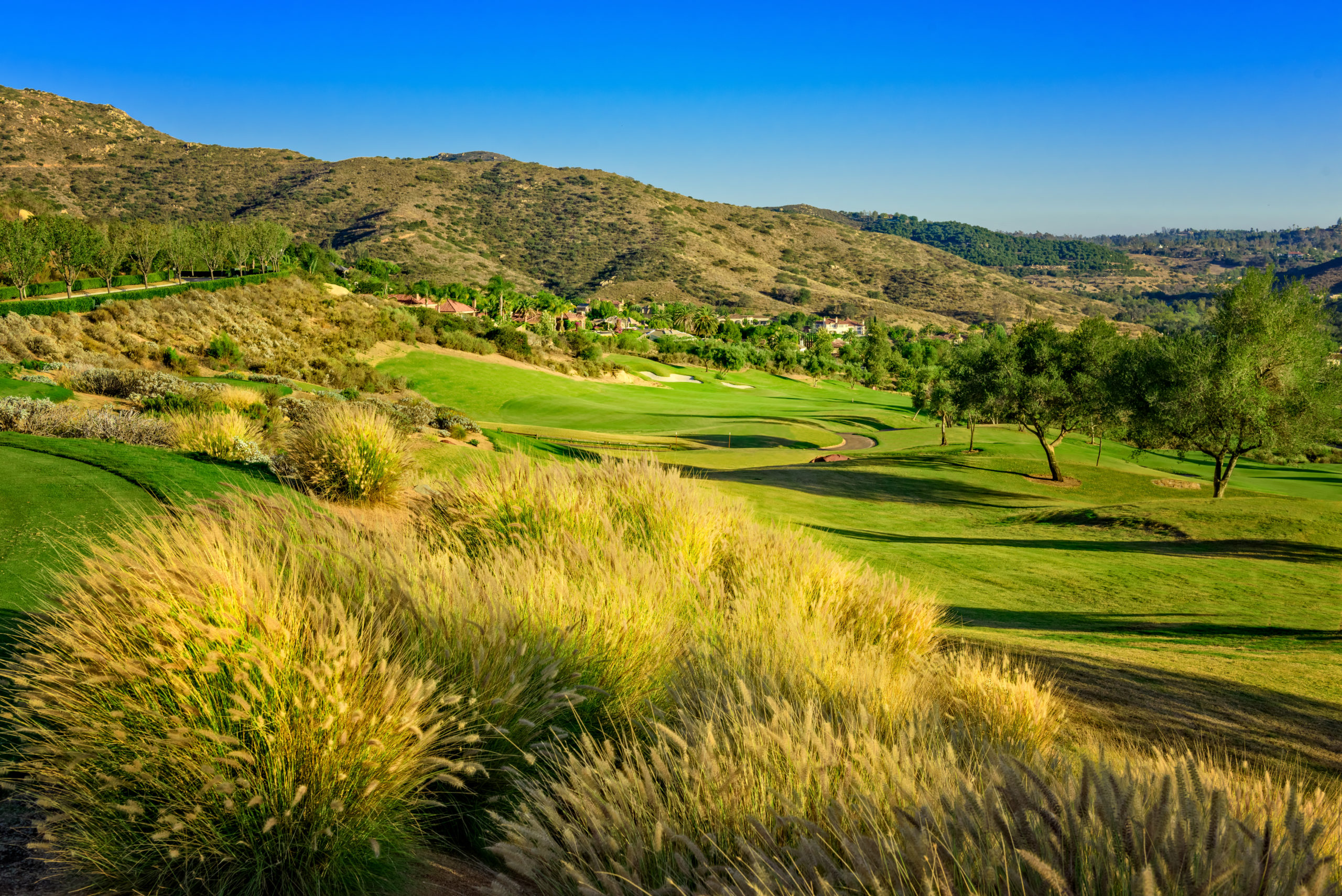 golf course